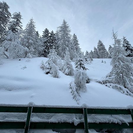 Ski Lodge Pampeago Tesero Bagian luar foto